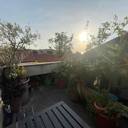 Piccola Accogliente E Luminosa Camera In Appartamento Condiviso Con Terrazza Vista Mare Triest Zewnętrze zdjęcie