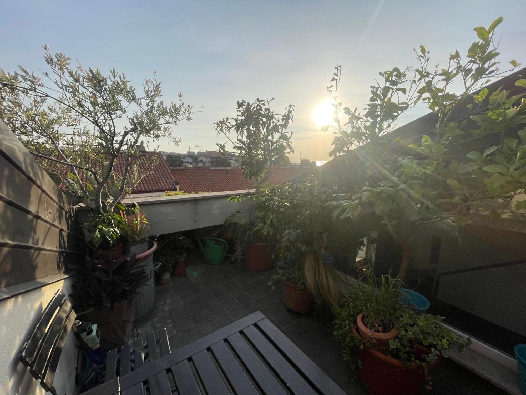 Piccola Accogliente E Luminosa Camera In Appartamento Condiviso Con Terrazza Vista Mare Triest Zewnętrze zdjęcie