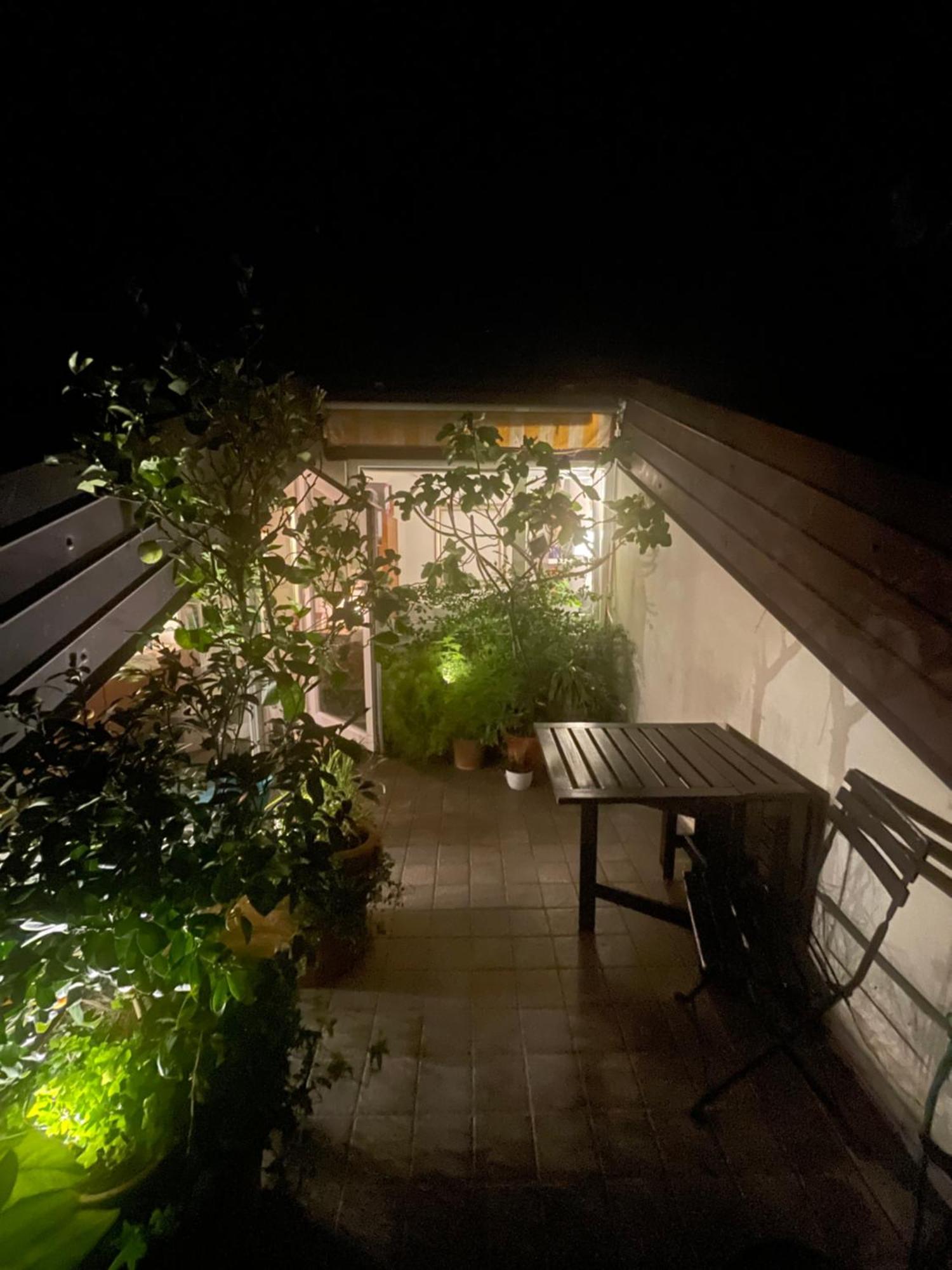 Piccola Accogliente E Luminosa Camera In Appartamento Condiviso Con Terrazza Vista Mare Triest Zewnętrze zdjęcie
